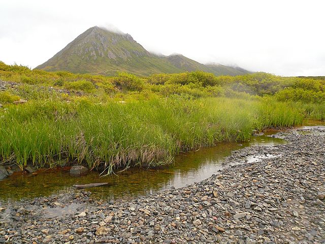 Propriétés à vendre à  Yukon